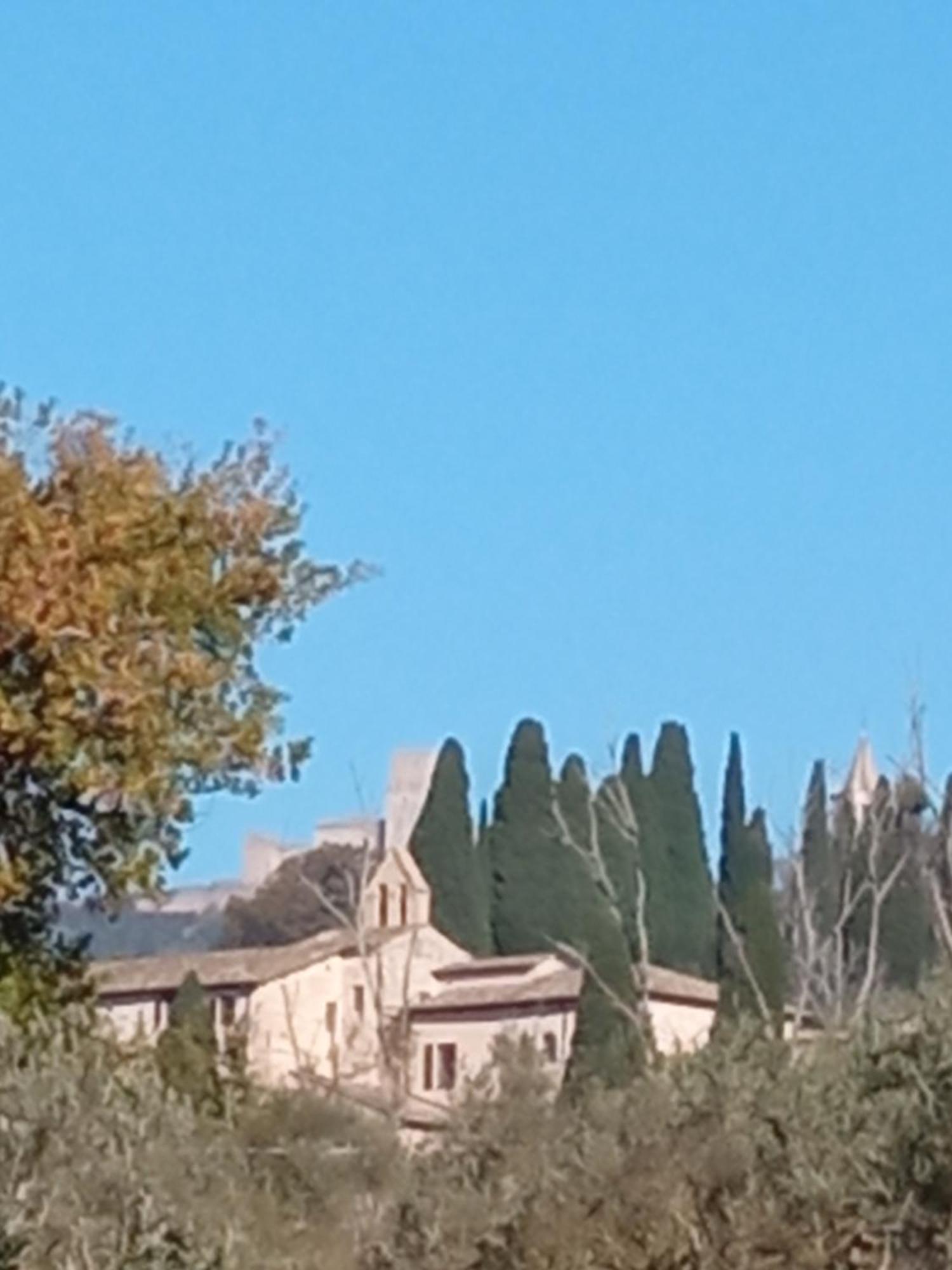 All'Ombra Di San Damiano Assisi Exterior foto