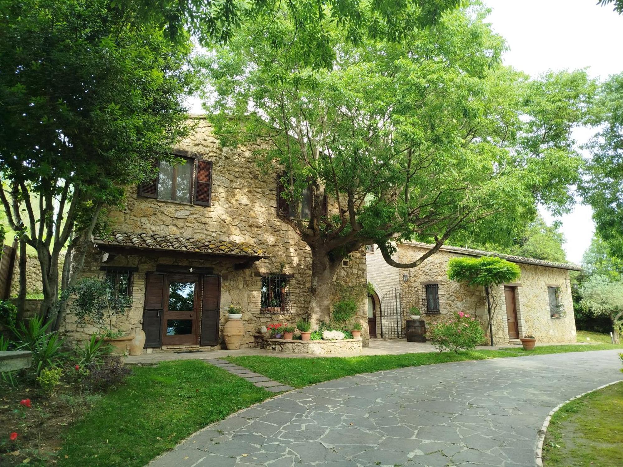 All'Ombra Di San Damiano Assisi Exterior foto