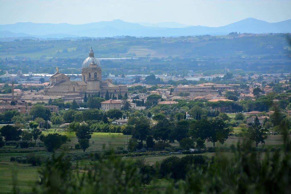 All'Ombra Di San Damiano Assisi Exterior foto